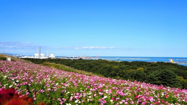 公園からの景色